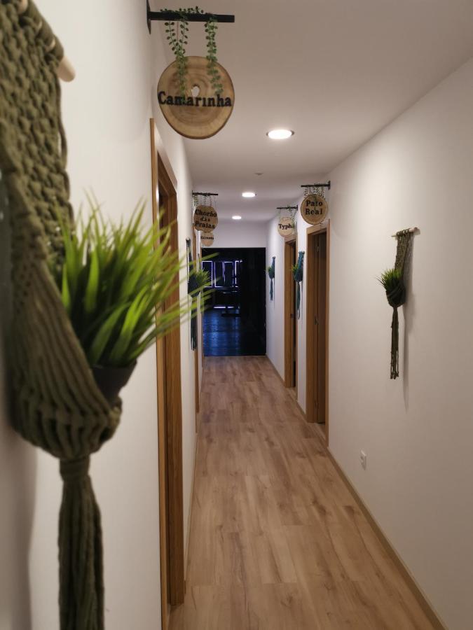 Atlantic Nature Beach House Poco da Cruz Zewnętrze zdjęcie